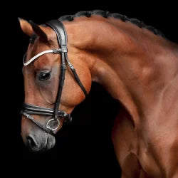 Gracieux Bridle Patent Noseband