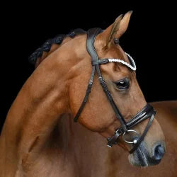 Romanov Bridle - Patent Noseband