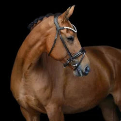 Romanov Bridle - Patent Noseband