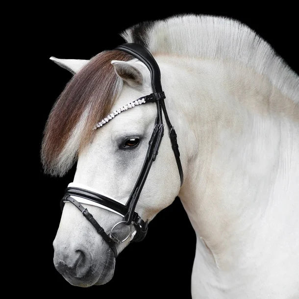 Romanov Bridle - Patent Noseband