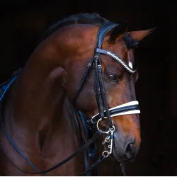 Millennium Browband
