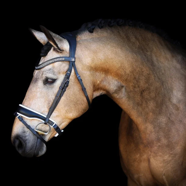 Bijou Bridle