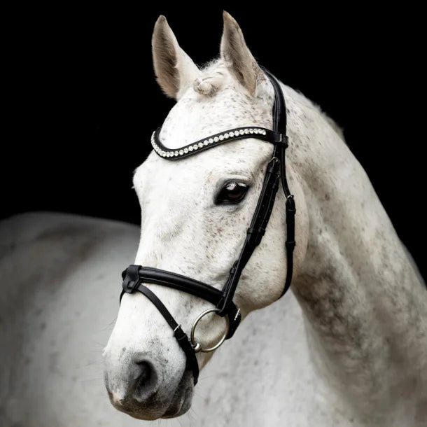 Leerox Bridle