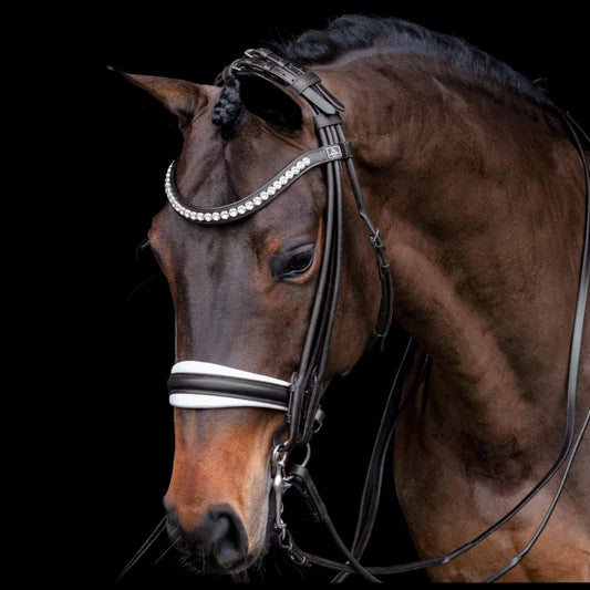 Bellissimo Rolled Double Bridle